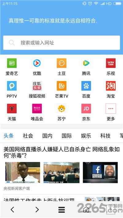 vip浏览器app下载,vip浏览器,浏览器app,无广告浏览器app